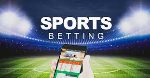 Discover Licensed Casinos With Fair Play 23 Discover Licensed Casinos With Fair Play 23